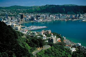 landlord info